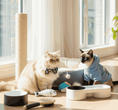Cat accessories