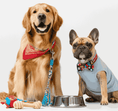 Dog accessories