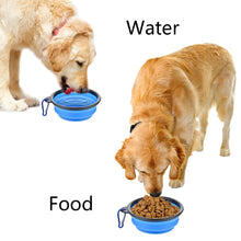 Dog Food Water Bowl
