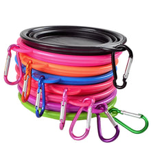 Dog Food Water Bowl