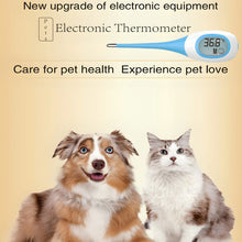 Dog Cat Electronic Thermometer