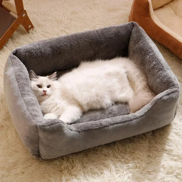 Cats Beds Kitten Cushions