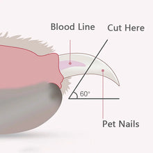Nail Clippers with Led Light