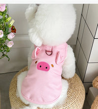Summer Dog Clothes