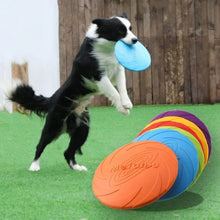 Multicolor Frisbeed Dog Toy