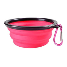 Dog Food Water Bowl