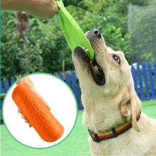Multicolor Frisbeed Dog Toy
