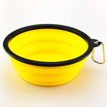 Dog Food Water Bowl