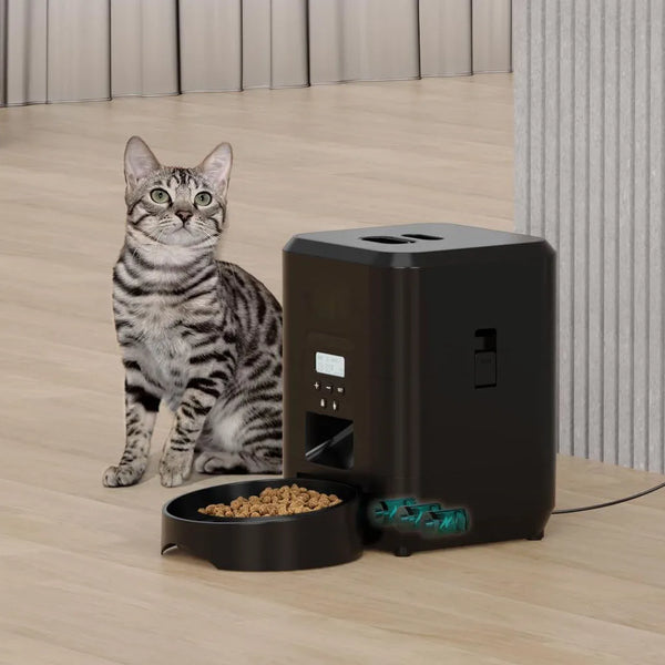Automatic Dog And Cat Food Dispenser