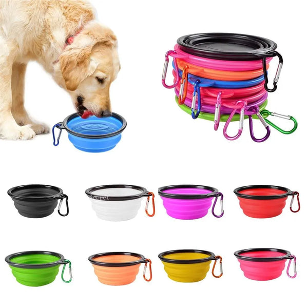 Dog Food Water Bowl