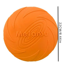 Multicolor Frisbeed Dog Toy