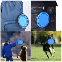 Dog Food Water Bowl