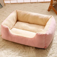 Cats Beds Kitten Cushions
