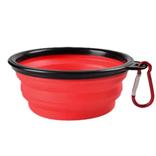 Dog Food Water Bowl