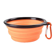 Dog Food Water Bowl