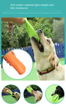 Multicolor Frisbeed Dog Toy