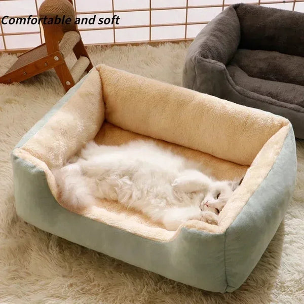 Cats Beds Kitten Cushions