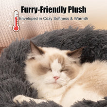 Soft Plush Pet Cat Beds