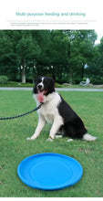 Multicolor Frisbeed Dog Toy