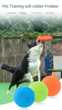 Multicolor Frisbeed Dog Toy