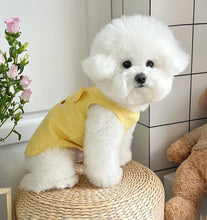 Summer Dog Clothes