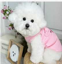 Summer Dog Clothes