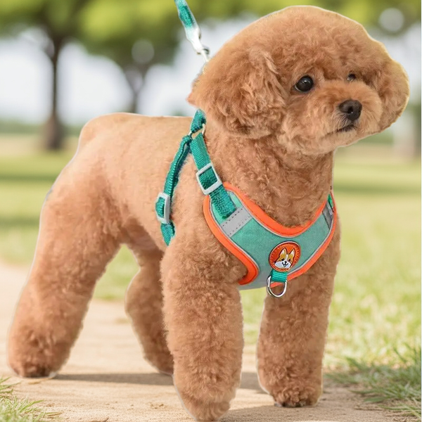 Adjustable Dog&Cat  Harness
